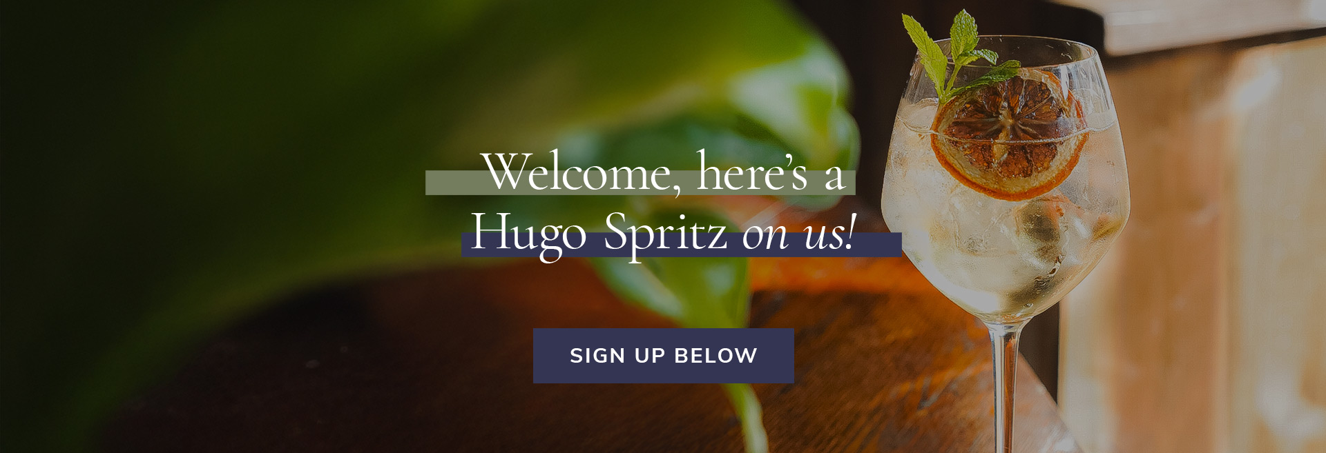 Sign up to the newsletter at The Old White Lion