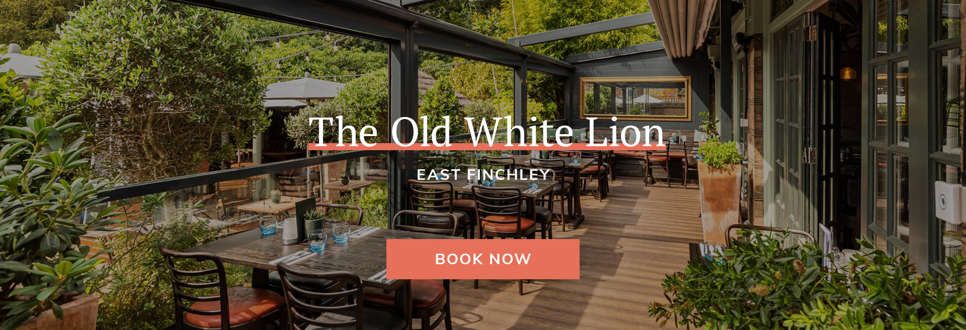 The Old White Lion Banner 3
